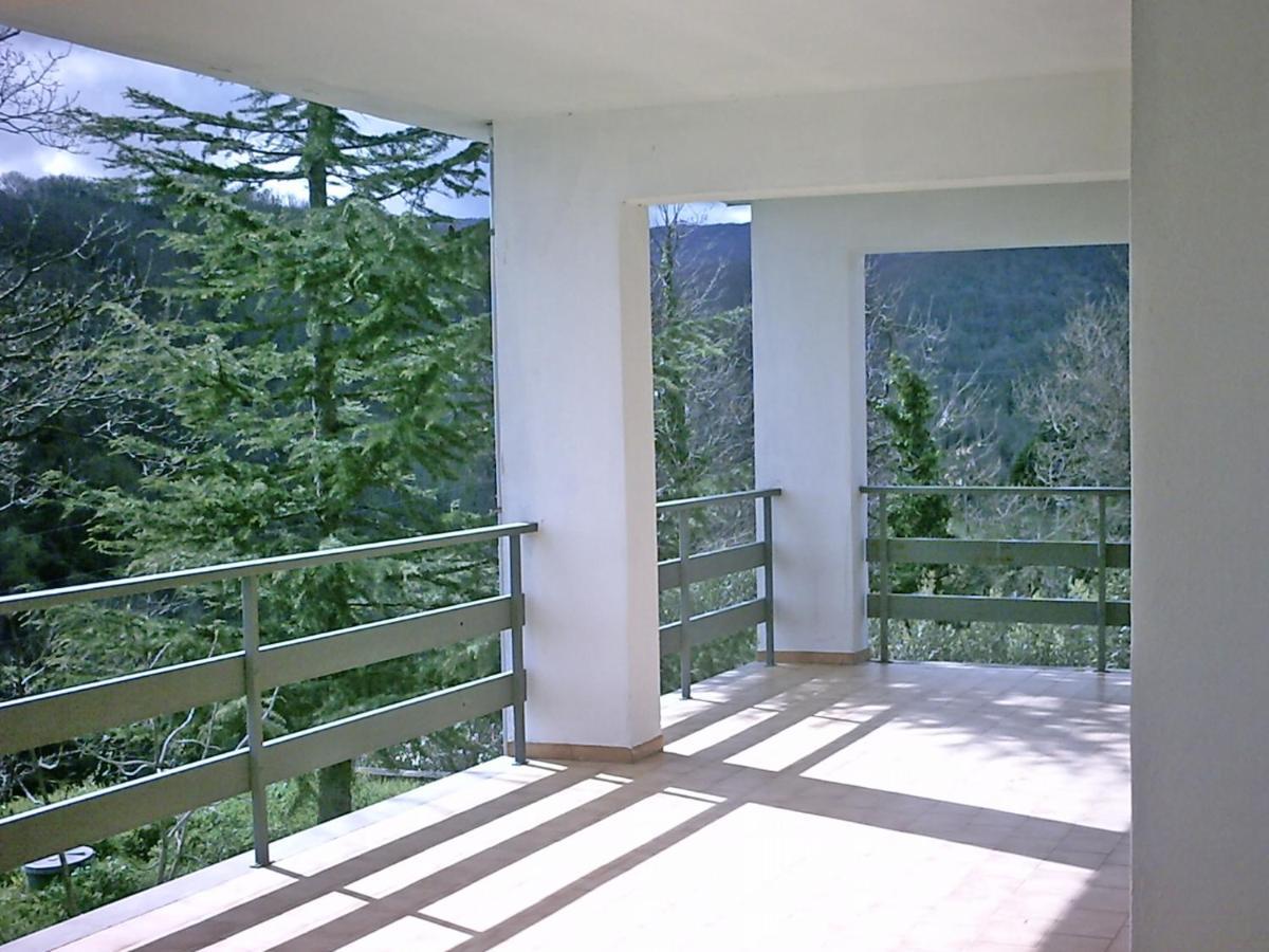 B&B Hollywood Olivadi Buitenkant foto